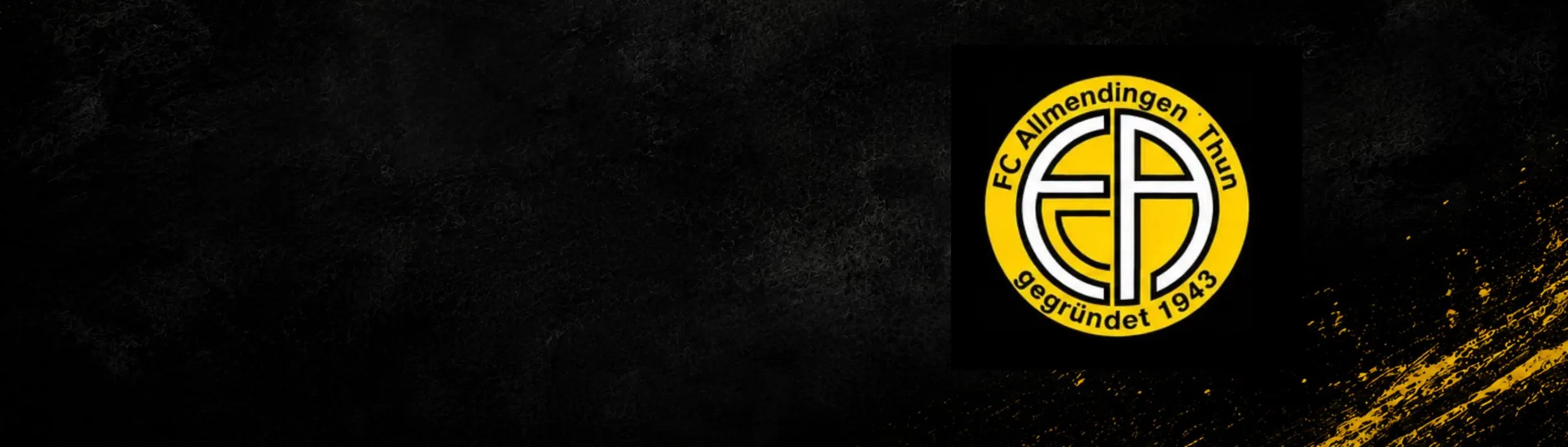 Team Sponsor Flash