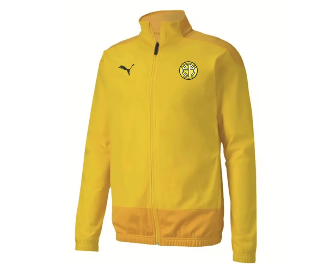 TEAMGOAL 23 Poly Training Jacket