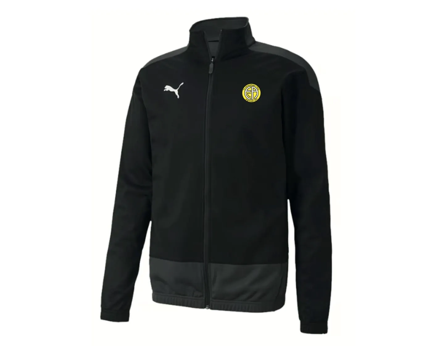 TEAMGOAL 23 Poly Training Jacket